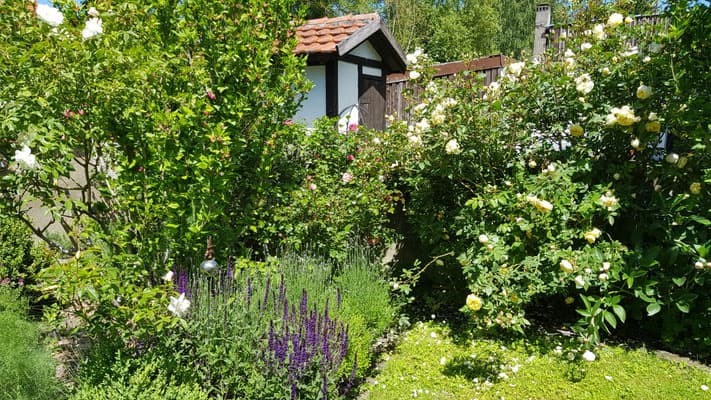 Barrierefreies Hotel in Iphofen buchen – Komfortabel und Zentral