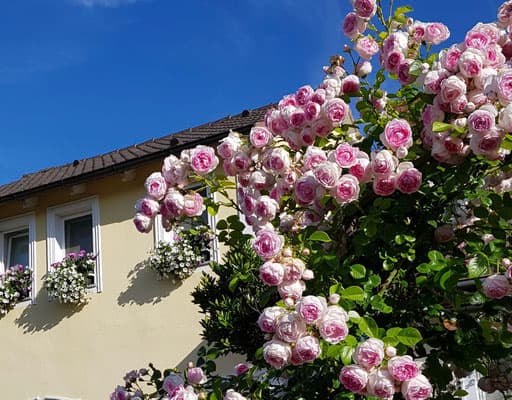 Günstige Unterkunft für Besucher der Nürnberger Spielwarenmesse